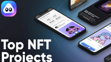 What are the Top NFT Projects?