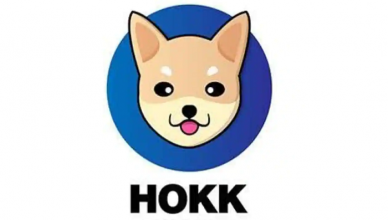 Hokk Finance - Aims for revolutionizing the De-Fi crypto space